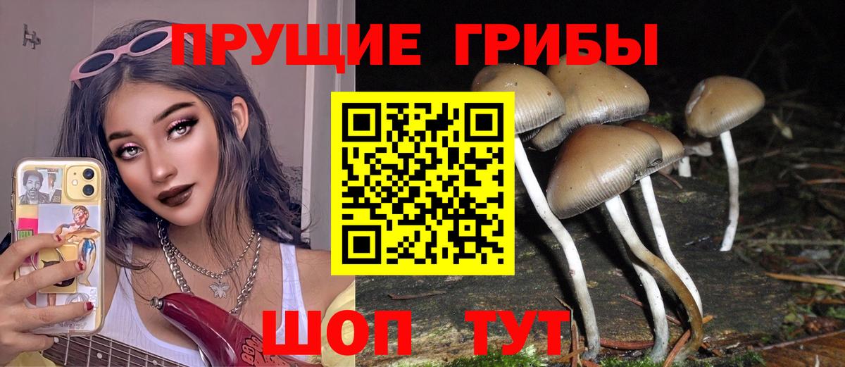 купить наркотик  Галлюциногенные грибы Psilocybe  Вход с VPN  Бугульма 